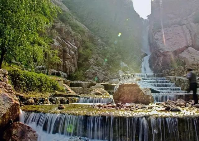 【健康之旅走进永济】伍姓湖+永济安家康养中心+黄河大铁牛景区一日游