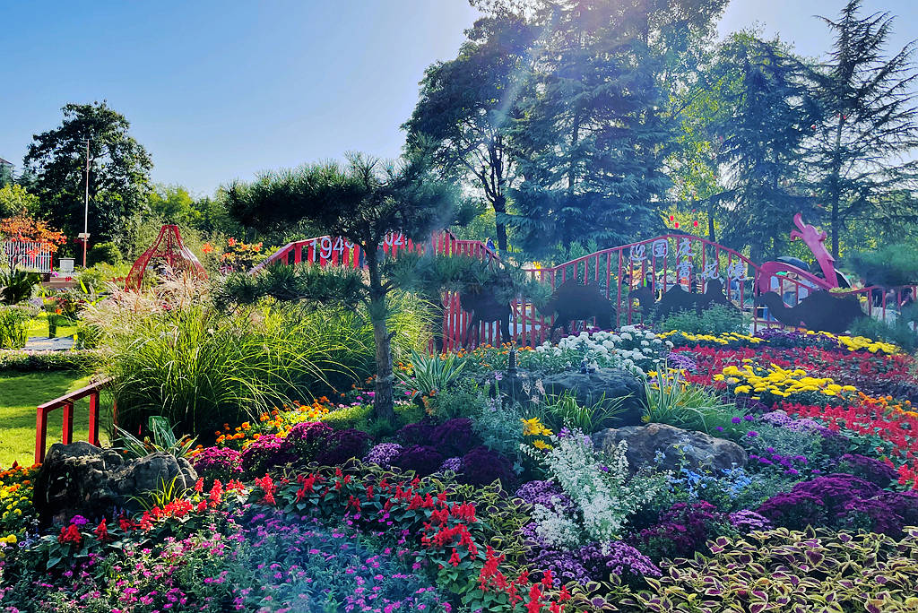 【健康之旅】洛阳牡丹花+洛邑古城一日游