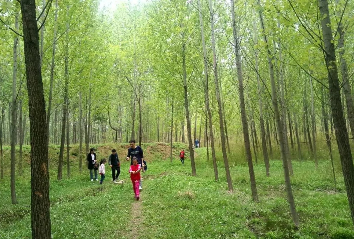 张店竹林户外徒步+老陈小院农家饭休闲游