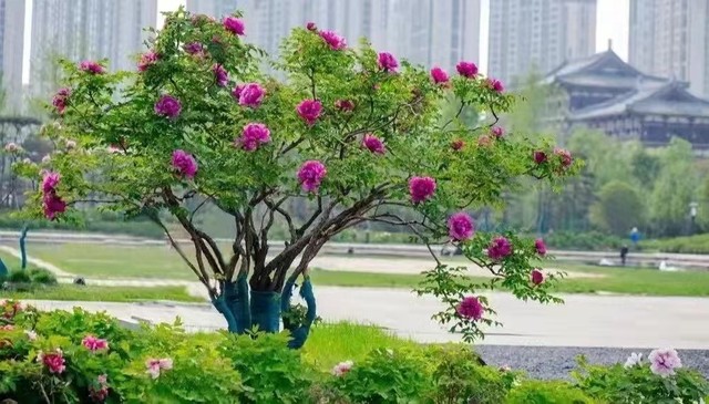爱游宝|图文编辑更简单