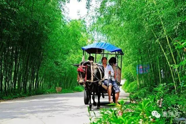 爱游宝|图文编辑更简单